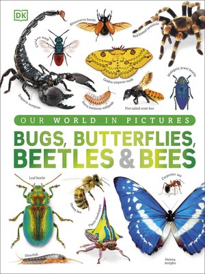 cover image of Our World in Pictures Bugs, Butterflies, Beetles and Bees